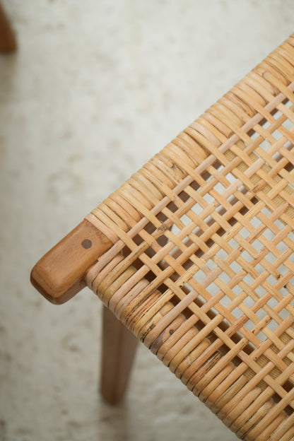 Silla Bagual